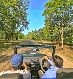 Wildlife in an Indian national park
